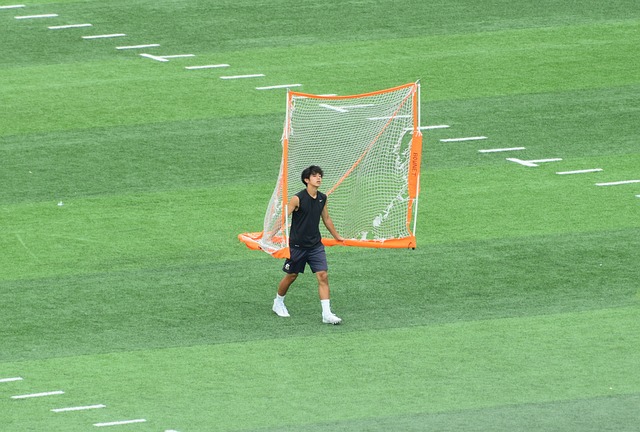 在新一轮的
